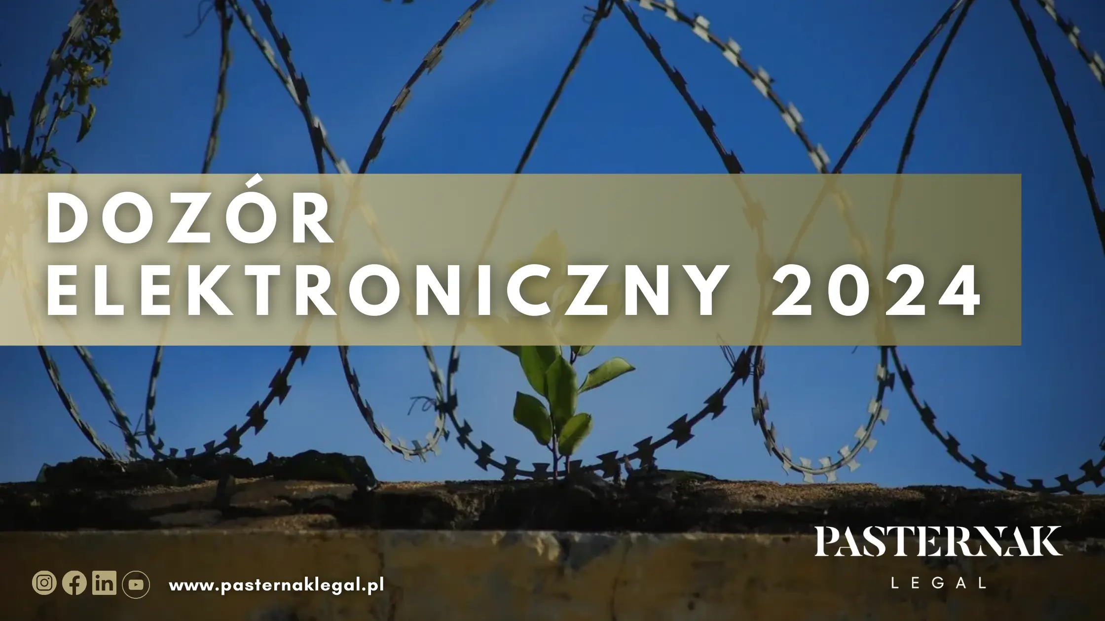 DOZÓR ELEKTRONICZNY 2024